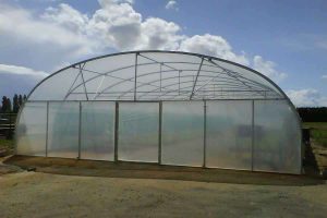 Greenhouse Tunnels limpopo